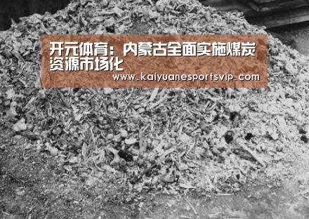 开元体育:内蒙古全面实施煤炭资源市场化(图1) 开元体育