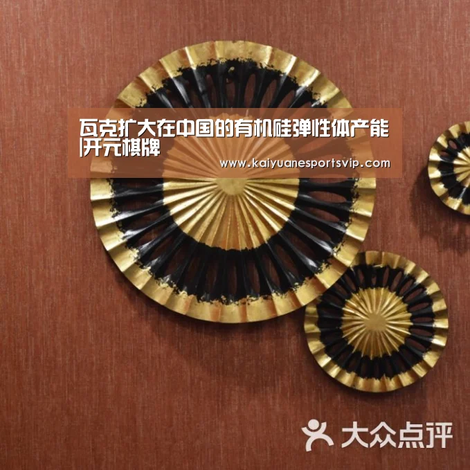 瓦克扩大在中国的有机硅弹性体产能|开元棋牌(图2) 开元真人