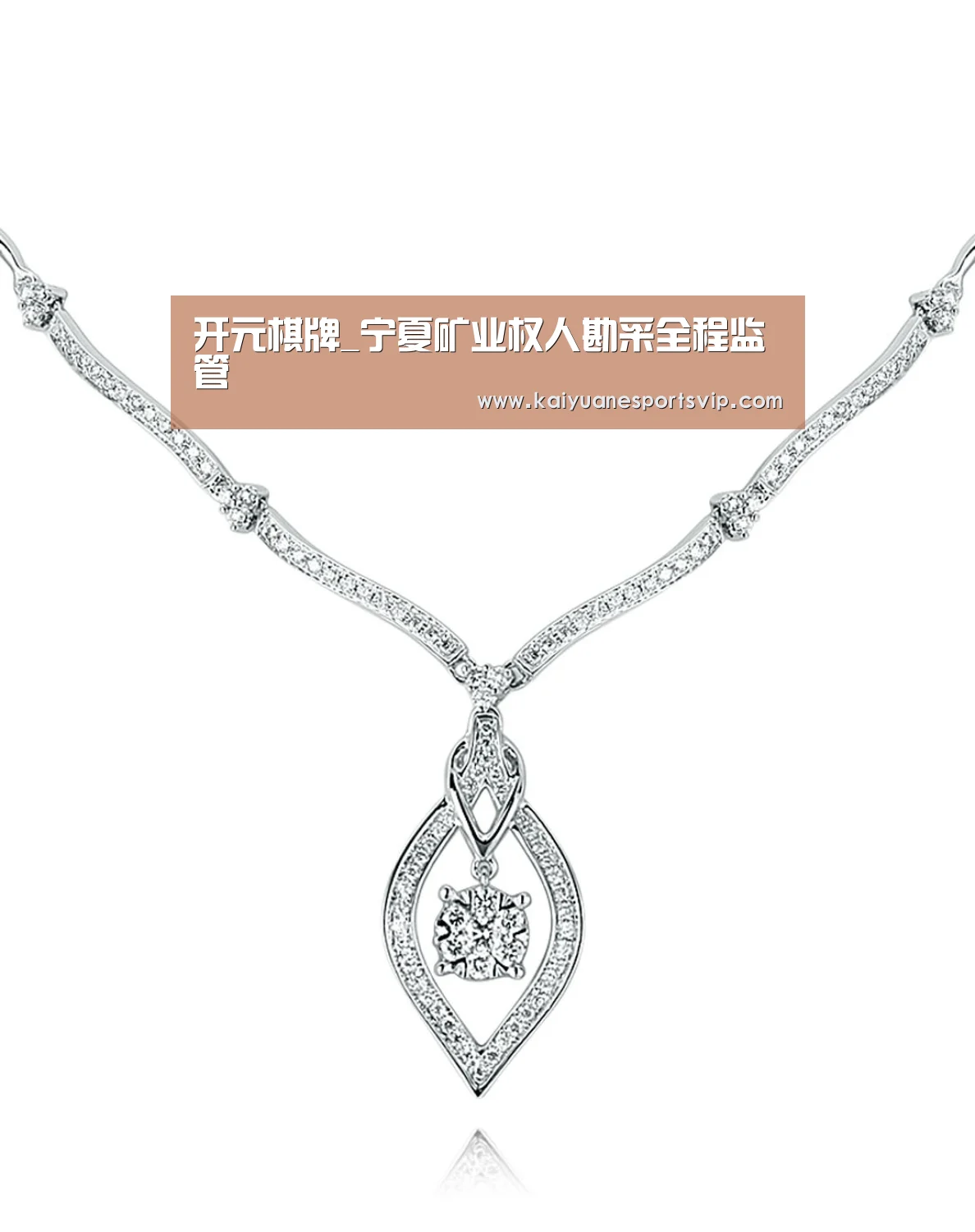 开元棋牌_宁夏矿业权人勘采全程监管(图2) 开元棋牌
