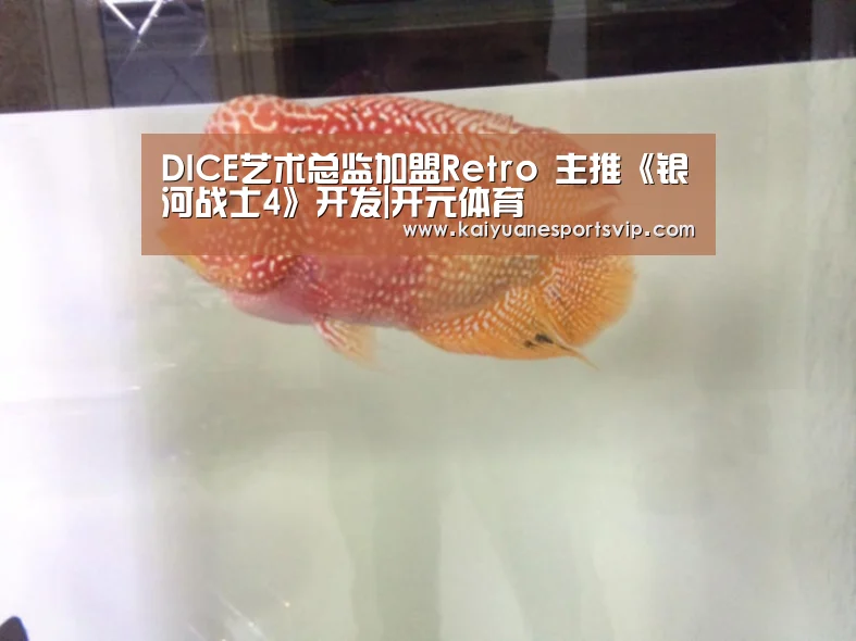 开元体育